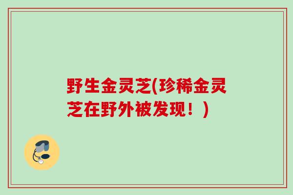 野生金灵芝(珍稀金灵芝在野外被发现!) 野生金灵芝(珍稀金灵芝在野外被发现!)