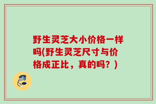 野生灵芝大小价格一样吗(野生灵芝尺寸与价格成正比，真的吗？)