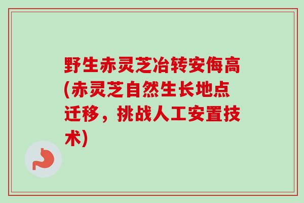 野生赤灵芝冶转安侮高(赤灵芝自然生长地点迁移，挑战人工安置技术)