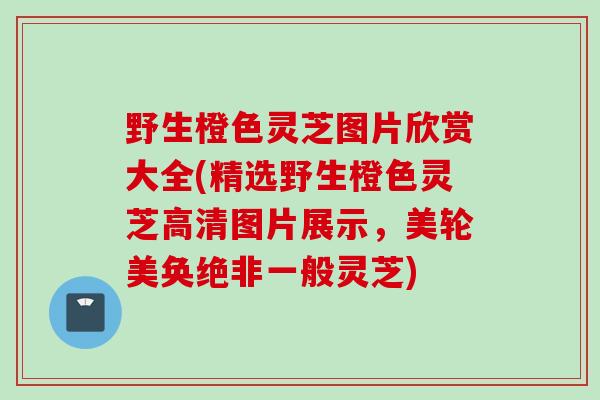 野生橙色灵芝图片欣赏大全(精选野生橙色灵芝高清图片展示，美轮美奂绝非一般灵芝)