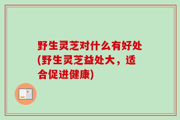 野生灵芝对什么有好处(野生灵芝益处大,适合促进健康) 野生灵芝对什么有好处(野生灵芝益处大,适合促进健康)