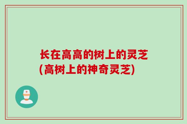 长在高高的树上的灵芝(高树上的神奇灵芝)