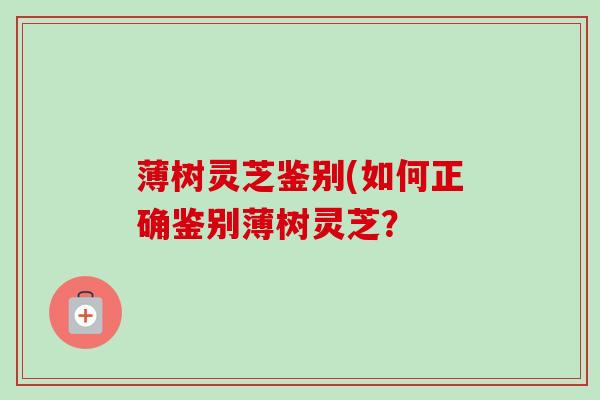薄树灵芝鉴别(如何正确鉴别薄树灵芝？