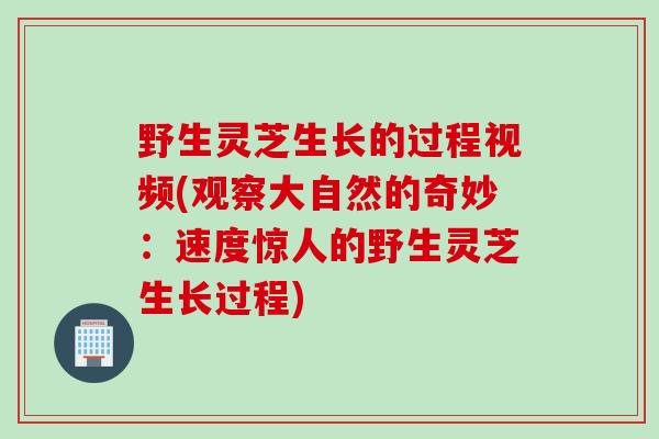 野生灵芝生长的过程视频(观察大自然的奇妙：速度惊人的野生灵芝生长过程)