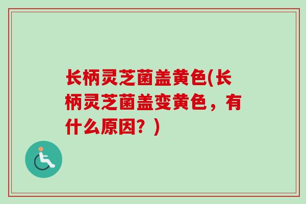 长柄灵芝菌盖黄色(长柄灵芝菌盖变黄色，有什么原因？)