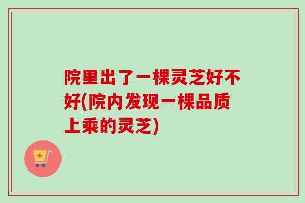院里出了一棵灵芝好不好(院内发现一棵品质上乘的灵芝)