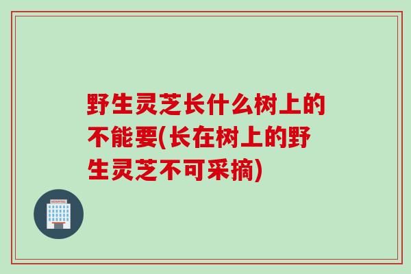 野生灵芝长什么树上的不能要(长在树上的野生灵芝不可采摘)