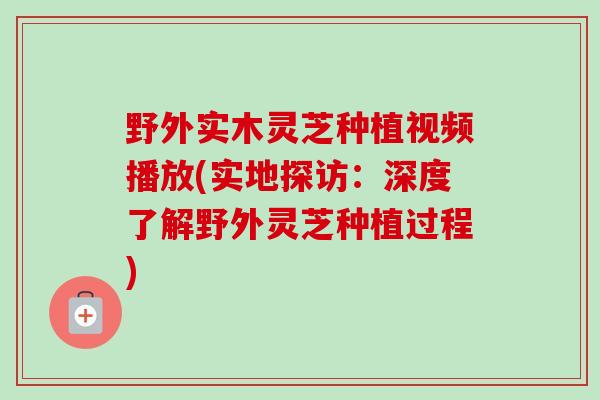野外实木灵芝种植视频播放(实地探访：深度了解野外灵芝种植过程)