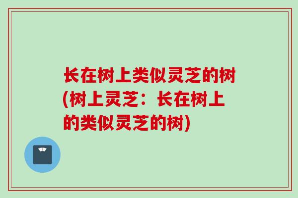 长在树上类似灵芝的树(树上灵芝:长在树上的类似灵芝的树) 长在树上类似灵芝的树(树上灵芝:长在树上的类似灵芝的树)