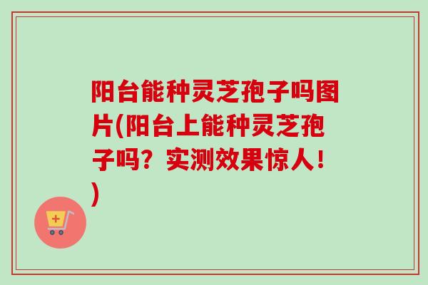 阳台能种灵芝孢子吗图片(阳台上能种灵芝孢子吗？实测效果惊人！)