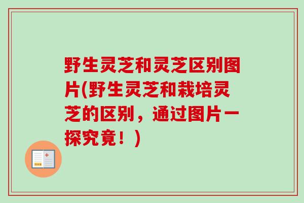 野生灵芝和灵芝区别图片(野生灵芝和栽培灵芝的区别，通过图片一探究竟！)