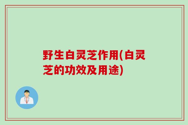野生白灵芝作用(白灵芝的功效及用途)