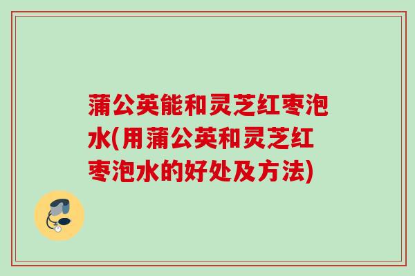 蒲公英能和灵芝红枣泡水(用蒲公英和灵芝红枣泡水的好处及方法)