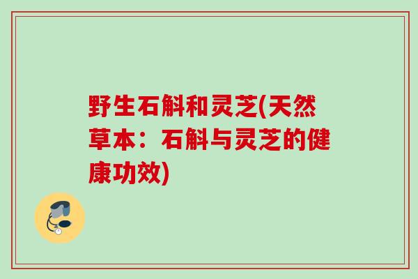 野生石斛和灵芝(天然草本:石斛与灵芝的健康功效) 野生石斛和灵芝(天然草本:石斛与灵芝的健康功效)