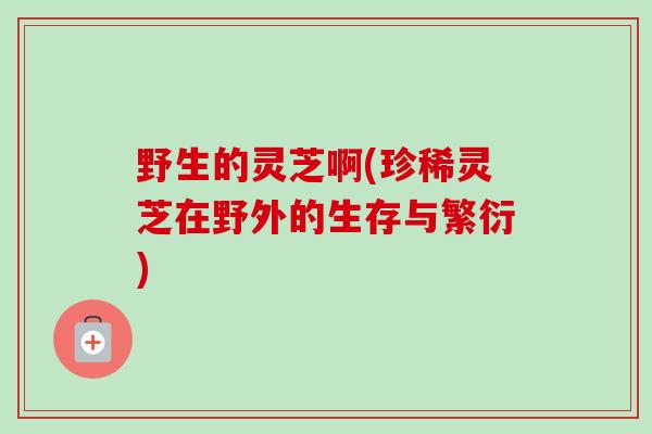 野生的灵芝啊(珍稀灵芝在野外的生存与繁衍) 野生的灵芝啊(珍稀灵芝在野外的生存与繁衍)