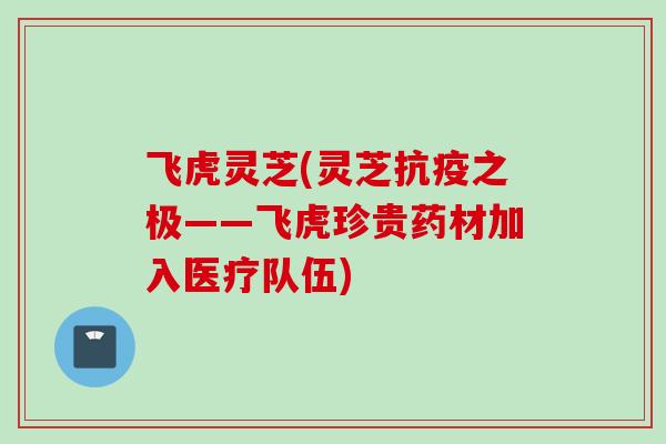 飞虎灵芝(灵芝抗疫之极——飞虎珍贵药材加入医疗队伍)