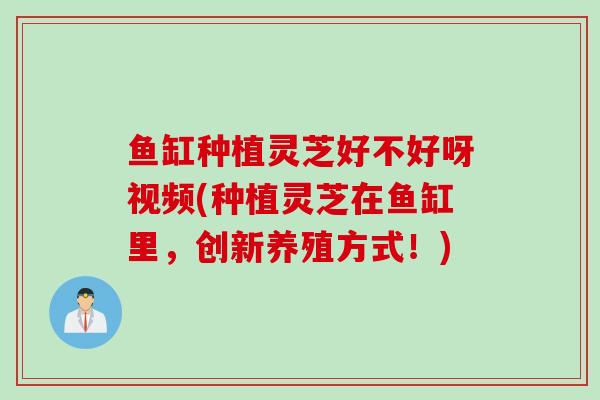 鱼缸种植灵芝好不好呀视频(种植灵芝在鱼缸里,创新养殖方式!) 鱼缸种植灵芝好不好呀视频(种植灵芝在鱼缸里,创新养殖方式!)