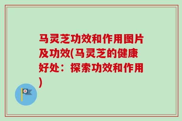 马灵芝功效和作用图片及功效(马灵芝的健康好处：探索功效和作用)