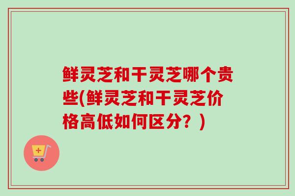 鲜灵芝和干灵芝哪个贵些(鲜灵芝和干灵芝价格高低如何区分?) 鲜灵芝和干灵芝哪个贵些(鲜灵芝和干灵芝价格高低如何区分?)