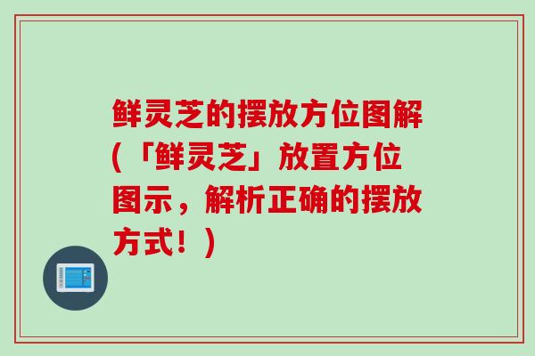 鲜灵芝的摆放方位图解(「鲜灵芝」放置方位图示，解析正确的摆放方式！)