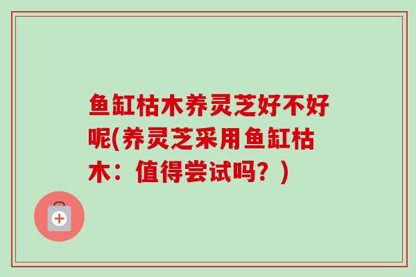 鱼缸枯木养灵芝好不好呢(养灵芝采用鱼缸枯木:值得尝试吗?) 鱼缸枯木养灵芝好不好呢(养灵芝采用鱼缸枯木:值得尝试吗?)