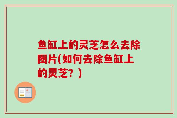 鱼缸上的灵芝怎么去除图片(如何去除鱼缸上的灵芝？)