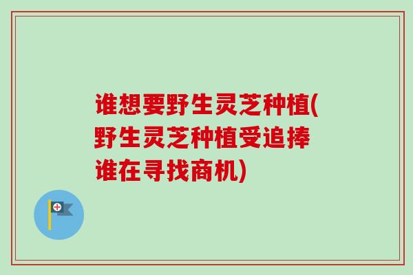 谁想要野生灵芝种植(野生灵芝种植受追捧 谁在寻找商机)