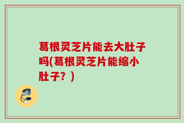 葛根灵芝片能去大肚子吗(葛根灵芝片能缩小肚子?) 葛根灵芝片能去大肚子吗(葛根灵芝片能缩小肚子?)
