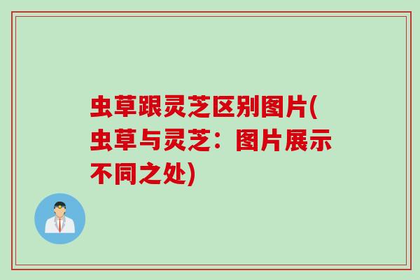 虫草跟灵芝区别图片(虫草与灵芝:图片展示不同之处) 虫草跟灵芝区别图片(虫草与灵芝:图片展示不同之处)