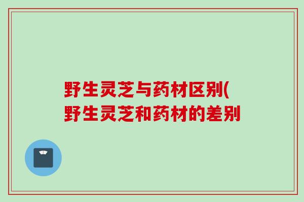 野生灵芝与药材区别(野生灵芝和药材的差别
