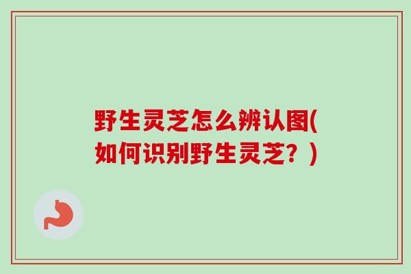 野生灵芝怎么辨认图(如何识别野生灵芝？)