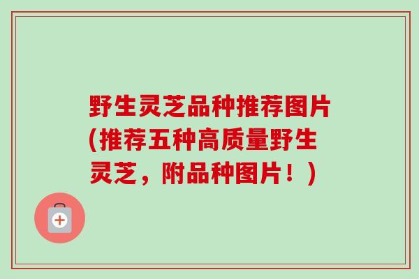 野生灵芝品种推荐图片(推荐五种高质量野生灵芝，附品种图片！)