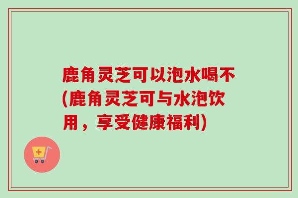鹿角灵芝可以泡水喝不(鹿角灵芝可与水泡饮用,享受健康福利) 鹿角灵芝可以泡水喝不(鹿角灵芝可与水泡饮用,享受健康福利)