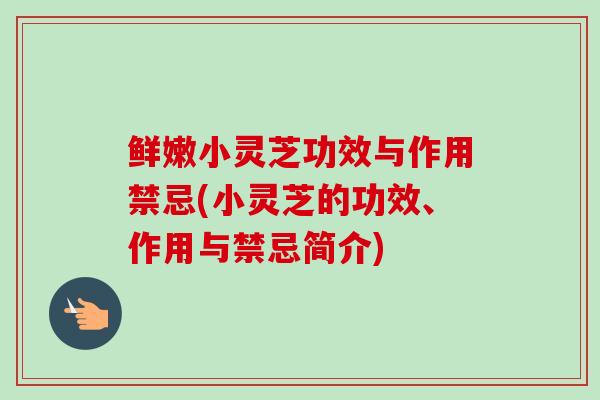 鲜嫩小灵芝功效与作用禁忌(小灵芝的功效、作用与禁忌简介)