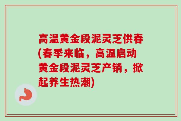 高温黄金段泥灵芝供春(春季来临，高温启动黄金段泥灵芝产销，掀起养生热潮)