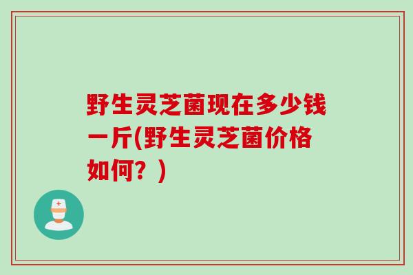 野生灵芝菌现在多少钱一斤(野生灵芝菌价格如何？)