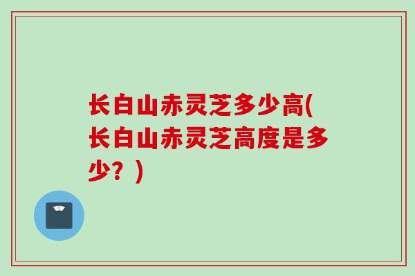 长白山赤灵芝多少高(长白山赤灵芝高度是多少？)
