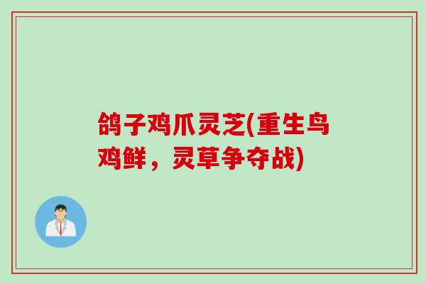 鸽子鸡爪灵芝(重生鸟鸡鲜，灵草争夺战)