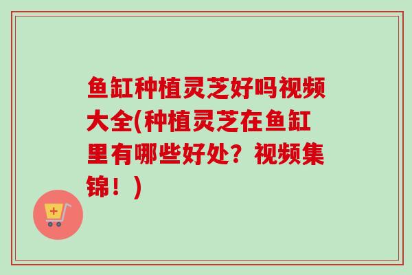鱼缸种植灵芝好吗视频大全(种植灵芝在鱼缸里有哪些好处？视频集锦！)