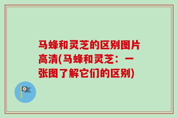 马蜂和灵芝的区别图片高清(马蜂和灵芝：一张图了解它们的区别)