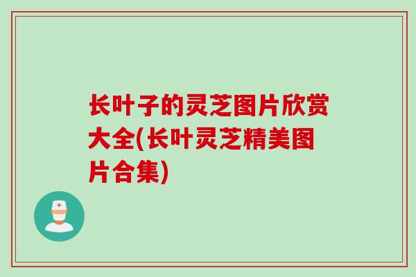 长叶子的灵芝图片欣赏大全(长叶灵芝精美图片合集)