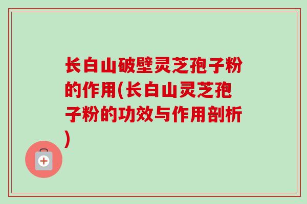 长白山破壁灵芝孢子粉的作用(长白山灵芝孢子粉的功效与作用剖析)
