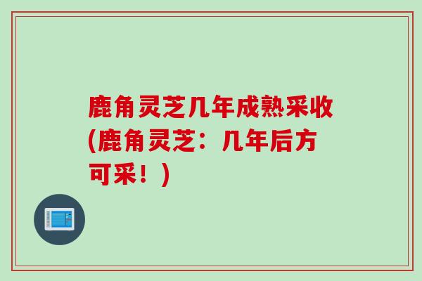 鹿角灵芝几年成熟采收(鹿角灵芝：几年后方可采！)