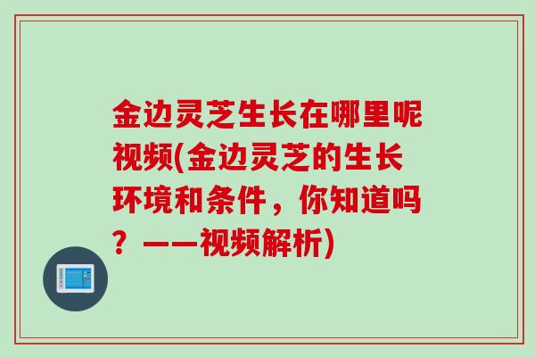 金边灵芝生长在哪里呢视频(金边灵芝的生长环境和条件，你知道吗？——视频解析)