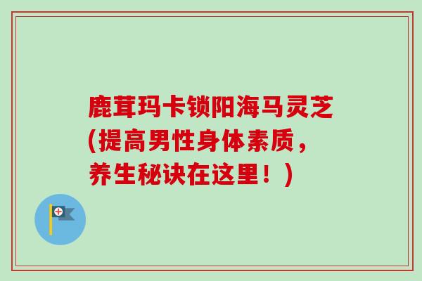 鹿茸玛卡锁阳海马灵芝(提高男性身体素质，养生秘诀在这里！)