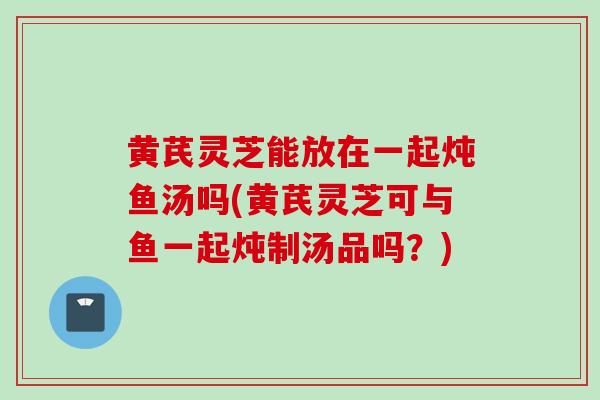 黄芪灵芝能放在一起炖鱼汤吗(黄芪灵芝可与鱼一起炖制汤品吗？)
