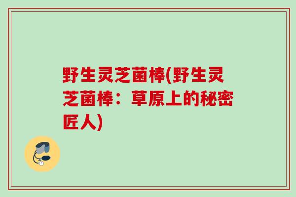 野生灵芝菌棒(野生灵芝菌棒：草原上的秘密匠人)