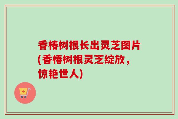 香椿树根长出灵芝图片(香椿树根灵芝绽放，惊艳世人)