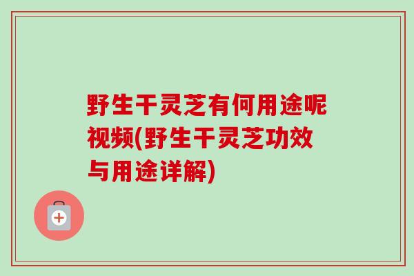 野生干灵芝有何用途呢视频(野生干灵芝功效与用途详解)