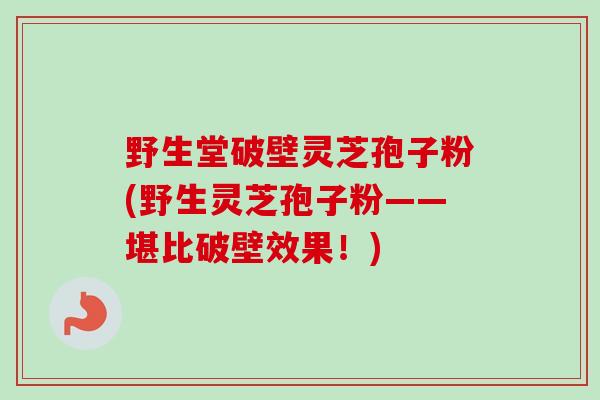 野生堂破壁灵芝孢子粉(野生灵芝孢子粉——堪比破壁效果！)